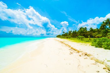 Güzel tropikal plaj 