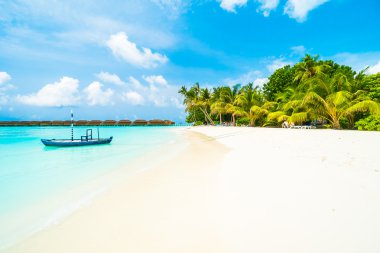 Güzel tropikal Maldivler ada