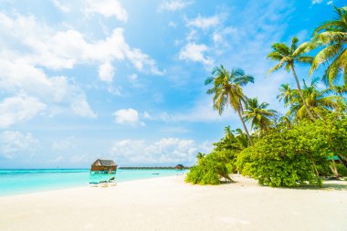 Güzel tropikal plaj 