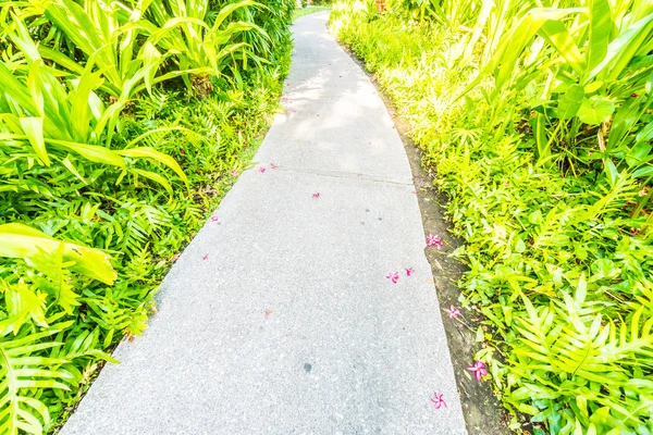 Stone path way the garden — Stock Photo, Image