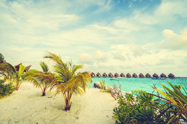 아름 다운 열 대 몰디브 섬 — 스톡 사진
