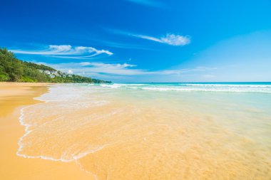 Güzel tropikal plaj 