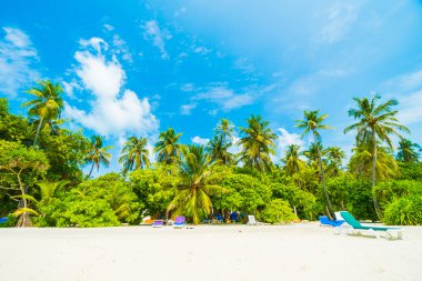 Güzel tropikal maldivler tatil beldesi