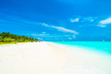 Güzel tropikal maldivler tatil beldesi