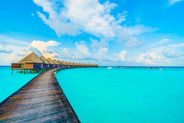 Güzel tropikal maldivler tatil beldesi