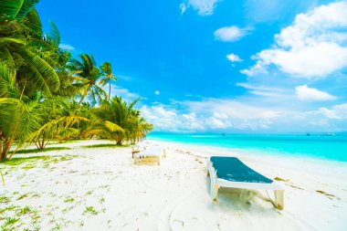 Güzel tropikal maldivler tatil beldesi