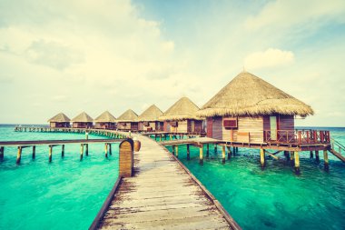 Tropik Maldivler Adası