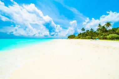 Tropik Maldivler Adası