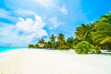 Tropik Maldivler Adası