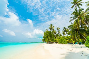 Tropik Maldivler Adası