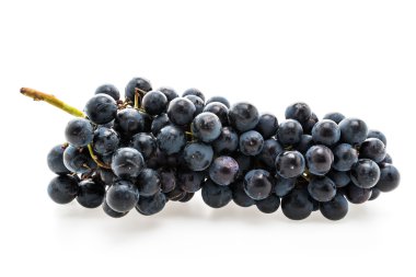 Taze siyah üzüm