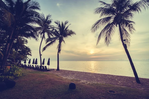 Bella palma da cocco sulla spiaggia e sul mare — Foto Stock