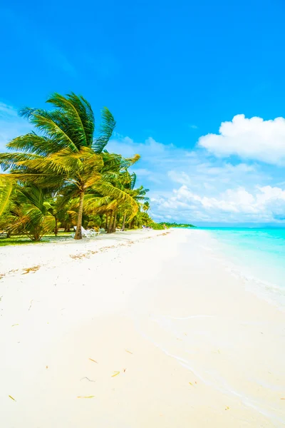 Tropik Maldivler Adası