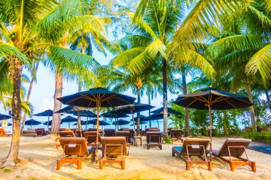 şemsiye ve sandalye