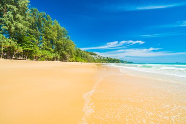 Güzel tropikal plaj ve deniz