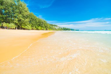 Güzel tropikal plaj ve deniz