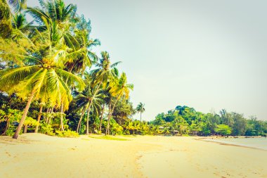 Güzel tropikal plaj ve deniz