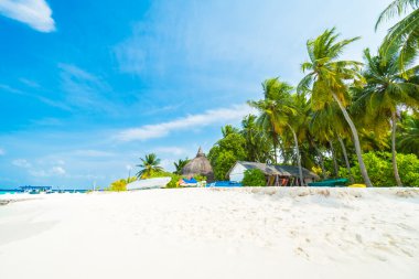 Güzel tropikal Maldivler resort