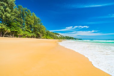 Güzel tropikal plaj ve deniz