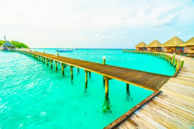 Güzel tropikal Maldivler resort