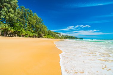 Güzel tropikal plaj ve deniz