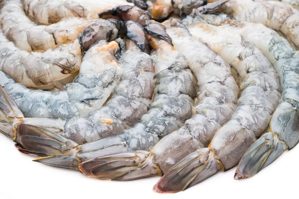 Crevettes fraîches crues — Photo