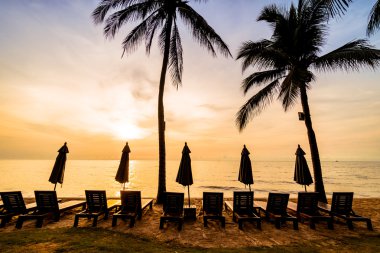 Plaj ve deniz güzel Hindistan cevizi hurma ağacı