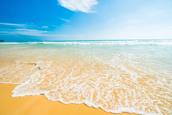 Vacker tropisk strand och hav — Stockfoto