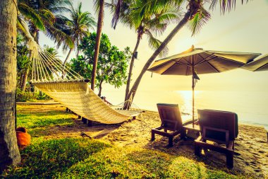 Plaj ve deniz güzel Hindistan cevizi hurma ağacı