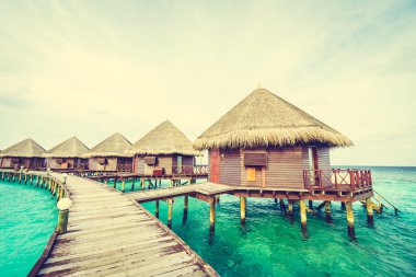 Güzel tropikal Maldivler resort