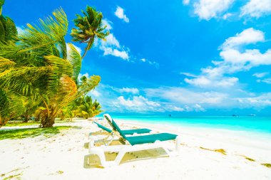 Güzel tropikal Maldivler resort