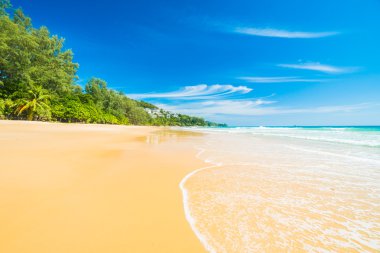 Güzel tropikal plaj ve deniz