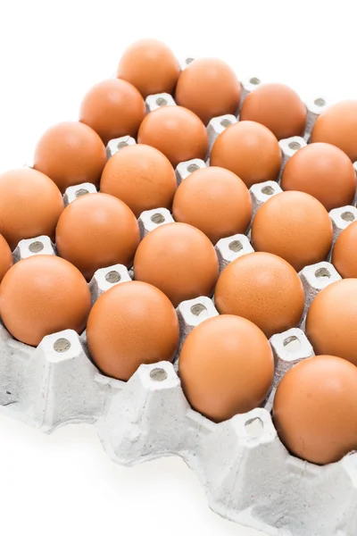 Eggs pack in box — Stock Photo, Image
