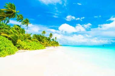 Güzel tropikal Maldivler resort