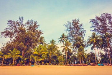 Güzel tropikal plaj ve deniz