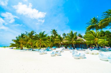 Güzel tropikal Maldivler resort