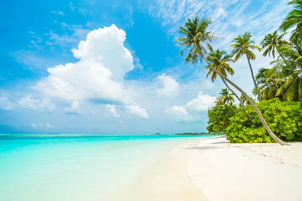 Beautiful tropical Maldives resort — Stock Photo, Image