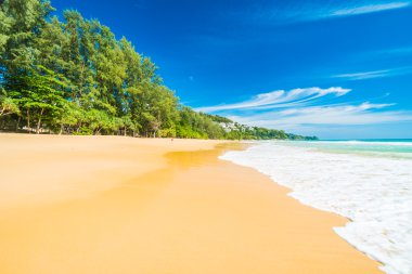 Güzel tropikal plaj ve deniz