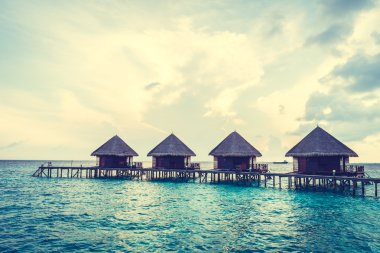 Güzel tropikal Maldivler resort