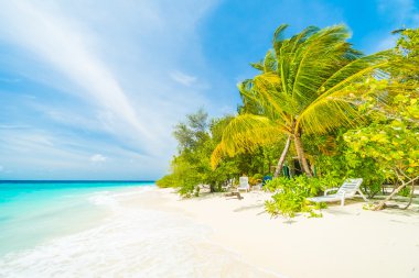 Güzel tropikal Maldivler resort