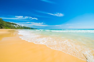 Güzel tropikal plaj ve deniz