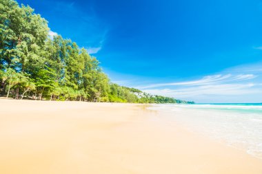 Güzel tropikal plaj ve deniz