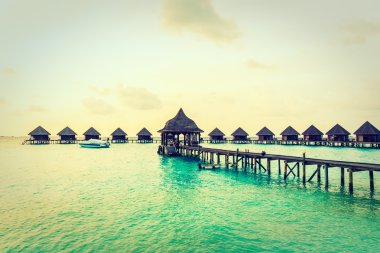 Güzel tropikal Maldivler resort