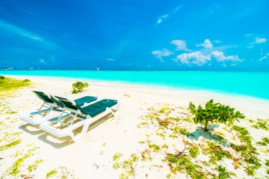 Güzel tropikal Maldivler resort