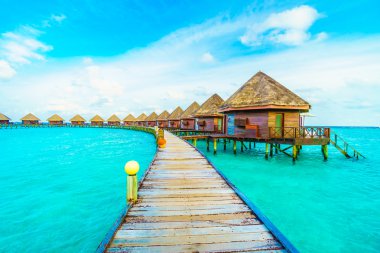 Güzel tropikal Maldivler resort
