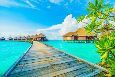 Güzel tropikal Maldivler resort
