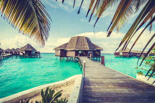 Güzel tropikal Maldivler resort