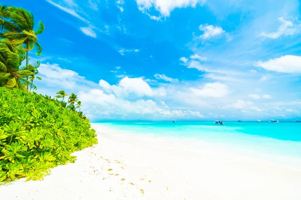 Hermoso complejo tropical de Maldivas —  Fotos de Stock