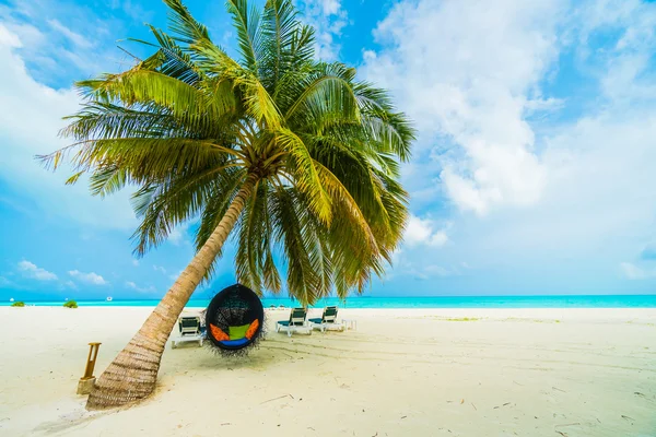 Güzel tropikal Maldivler resort