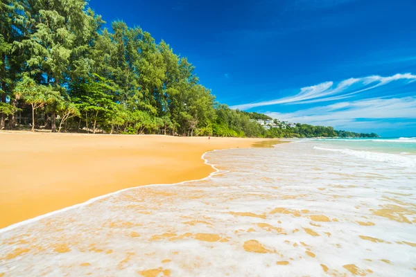 Güzel tropikal plaj ve deniz